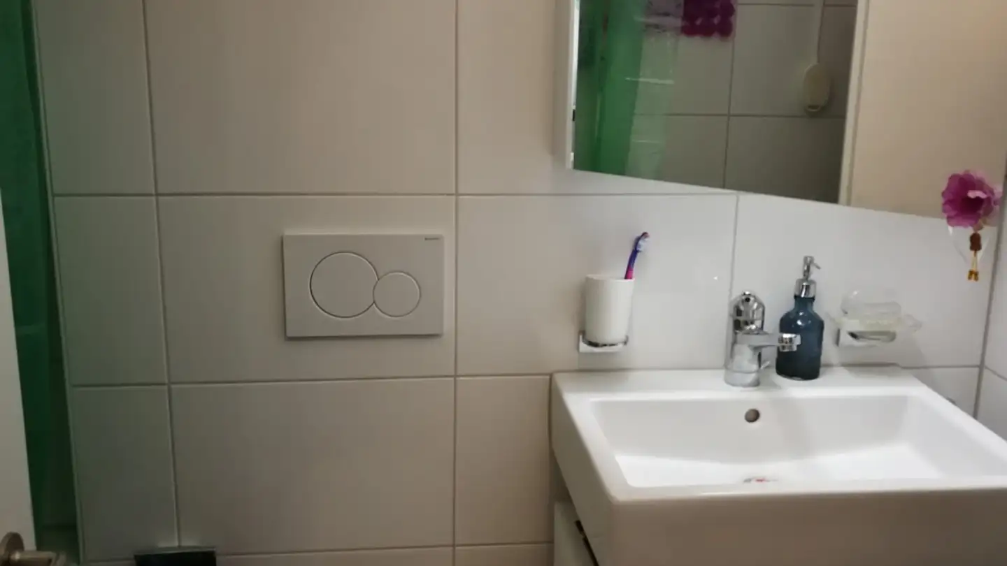 Appartamento in affitto - 8603 Schwerzenbach - Photo 4