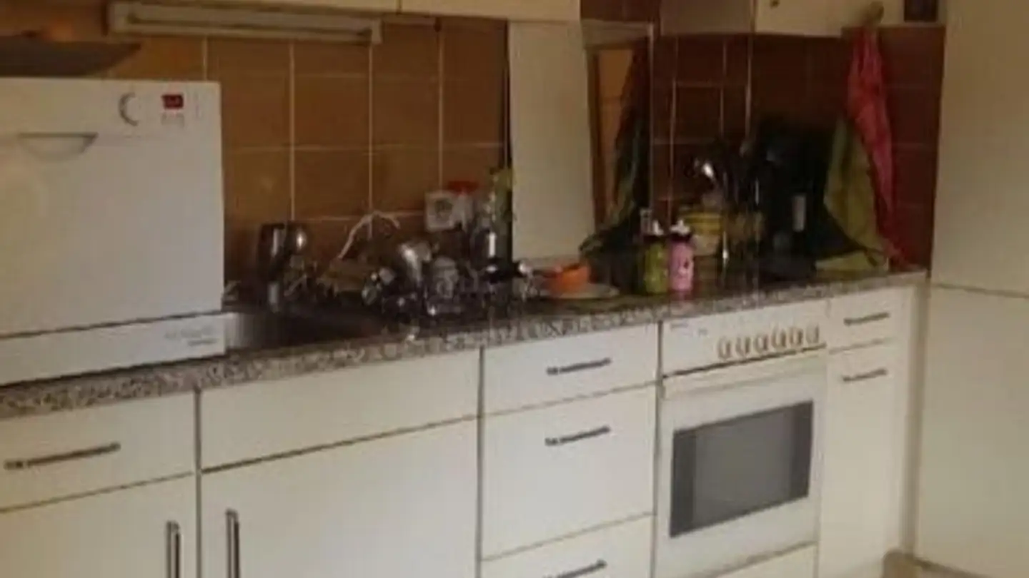 Apartment for rent - Seestrasse 74, 8610 Uster - Photo 4