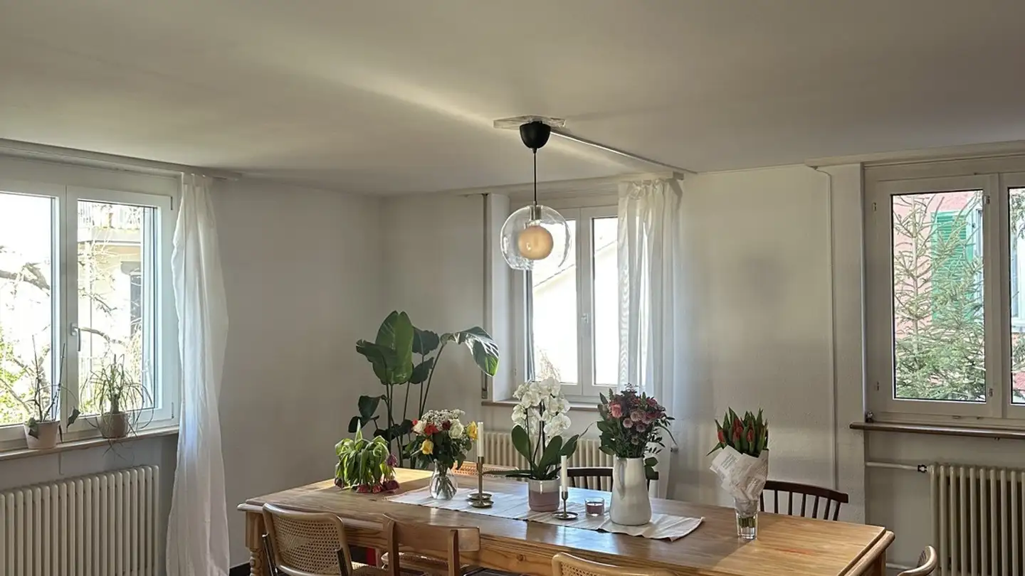 Single room for rent - Hochstrasse 52, 8044 Zürich - Photo 2