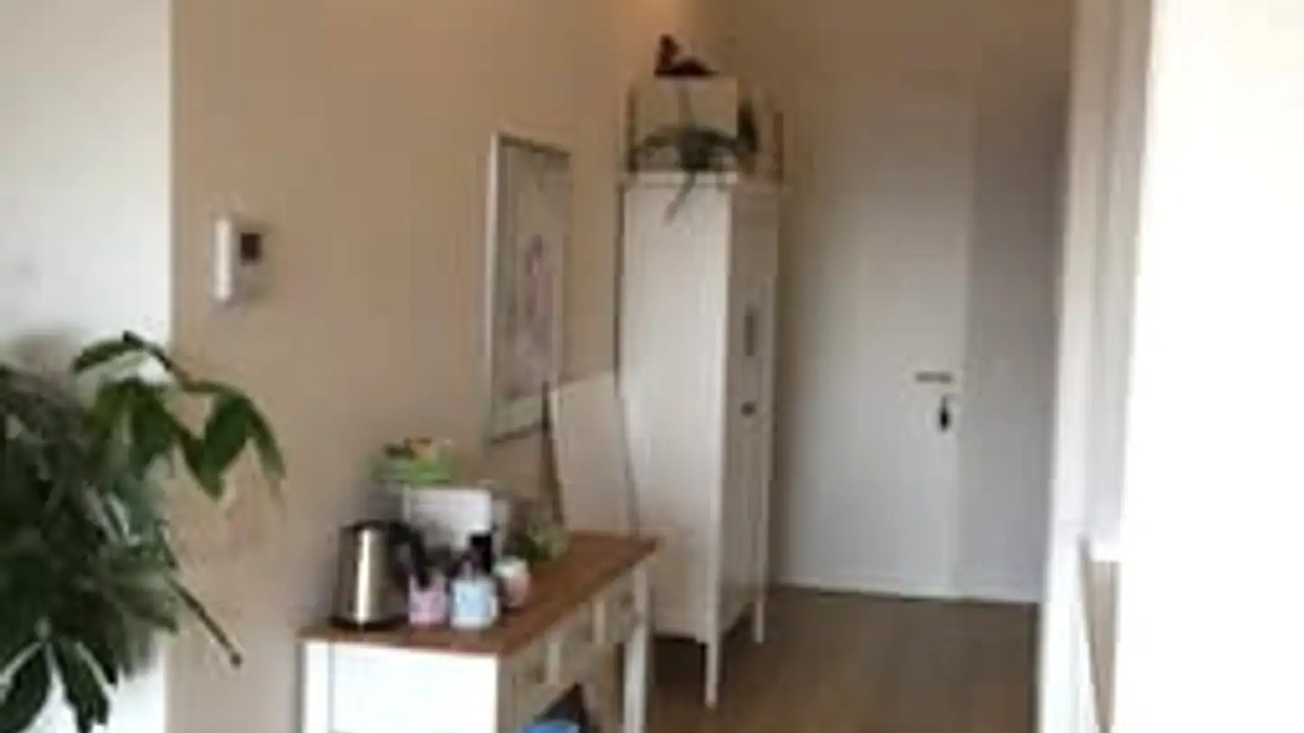 Attico in affitto - Luzernerstrasse 45b, 4800 Zofingen - Foto 3