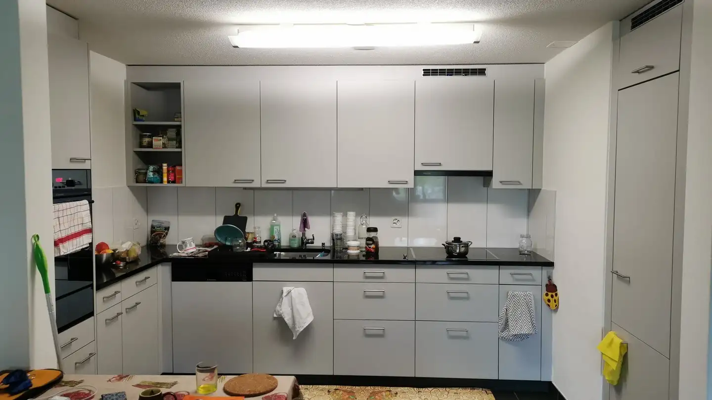 Wohnung mieten - Limmattalstrasse 358, 8049 Zürich