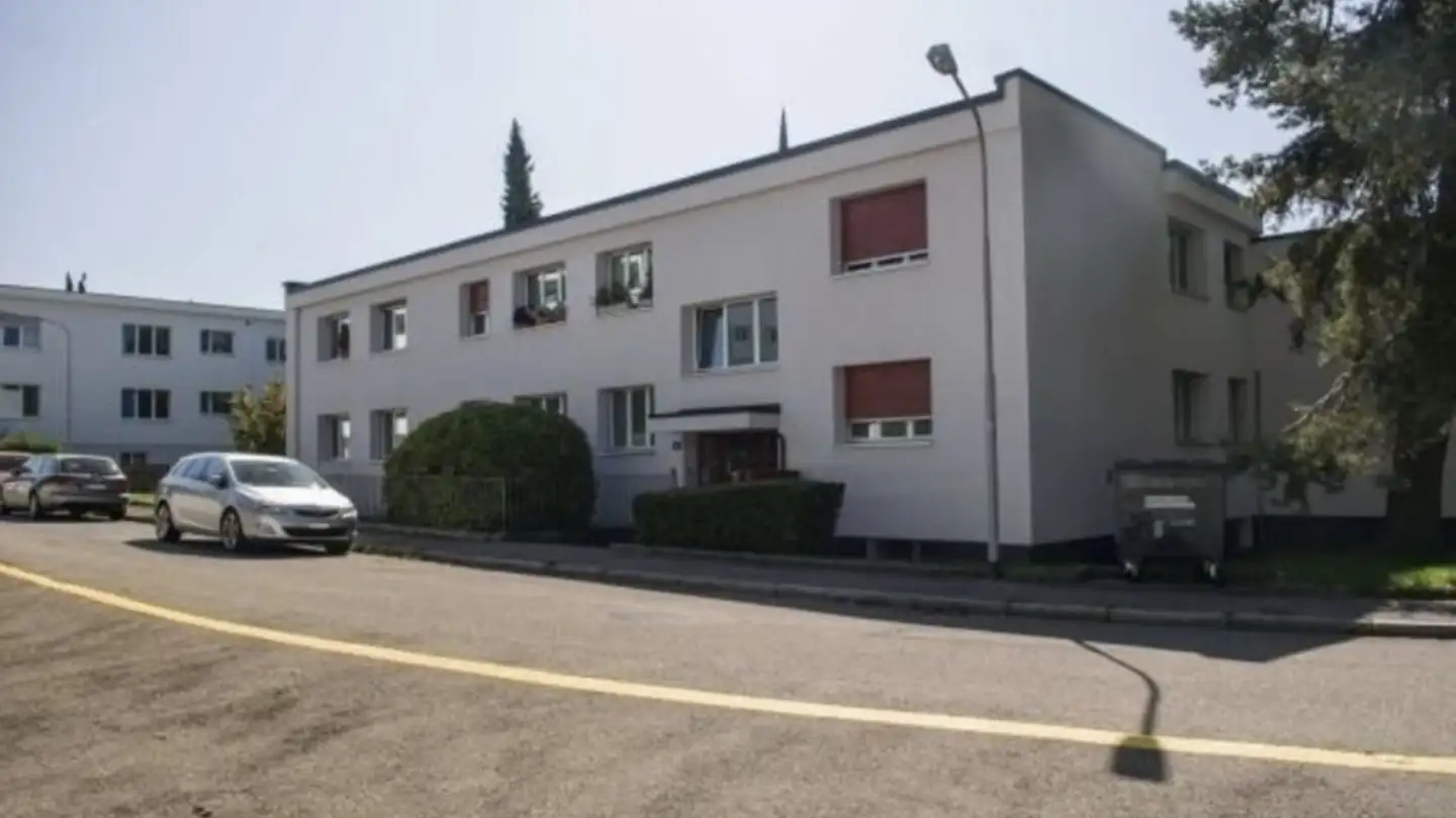 Appartamento in affitto - Stodolastrasse, 8053 Zürich - Foto 2