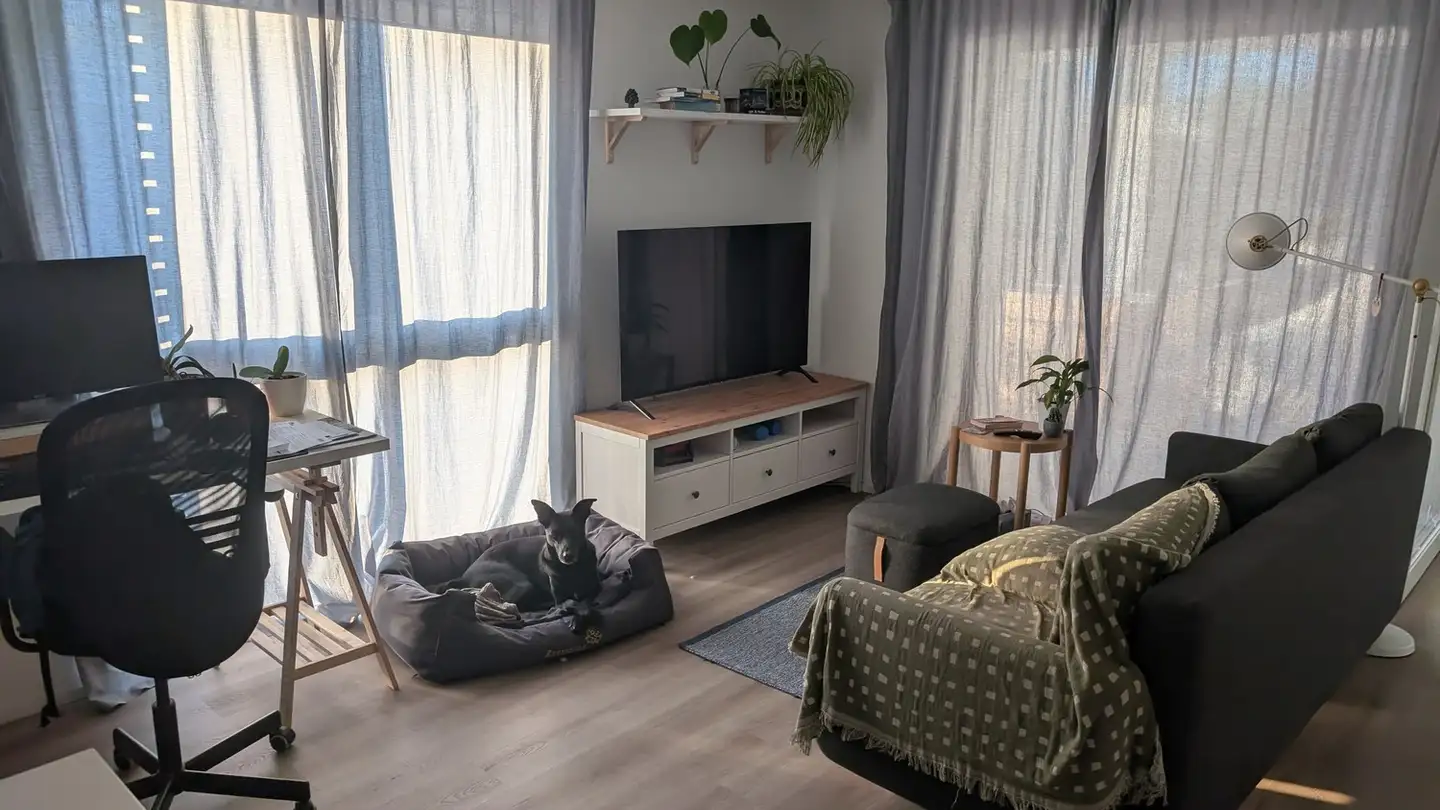 Appartamento in affitto - Petergasse 8, 8302 Kloten - Foto 2