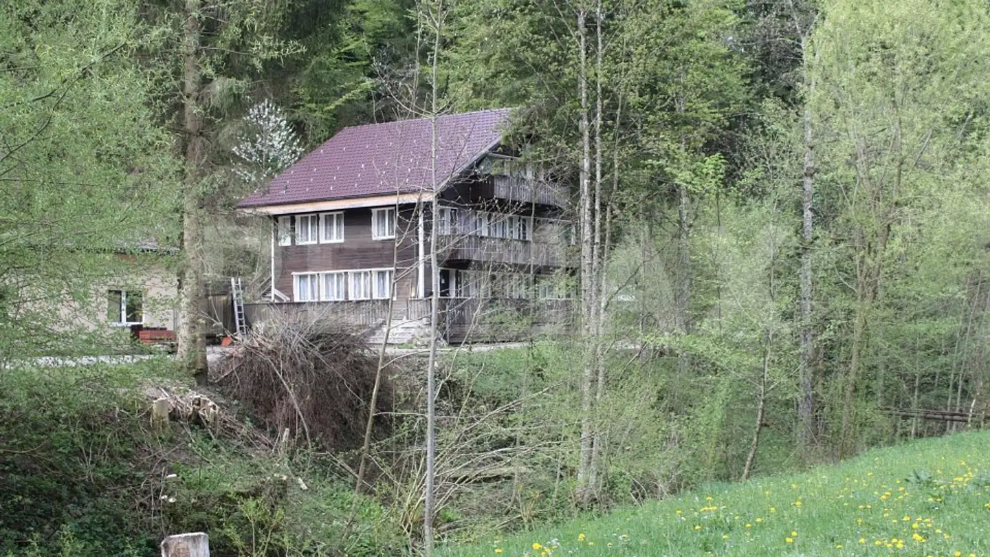 Maison individuelle à vendre - Steinenbachstrasse 40, 8499 Sternenberg - Photo 4