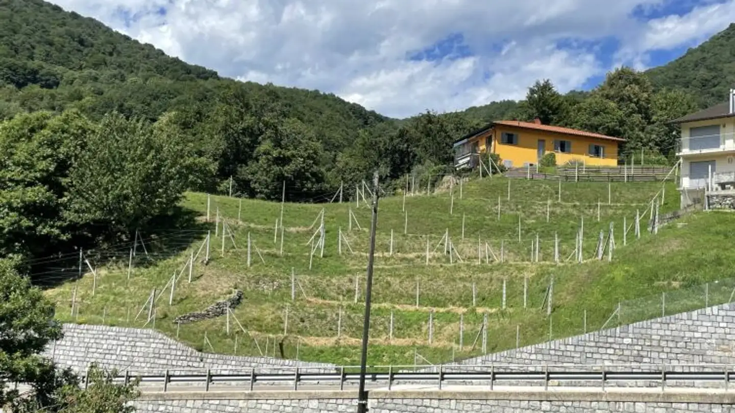 Terreno edificabile in vendita - Via Camoghè, 6809 Medeglia - Photo 2