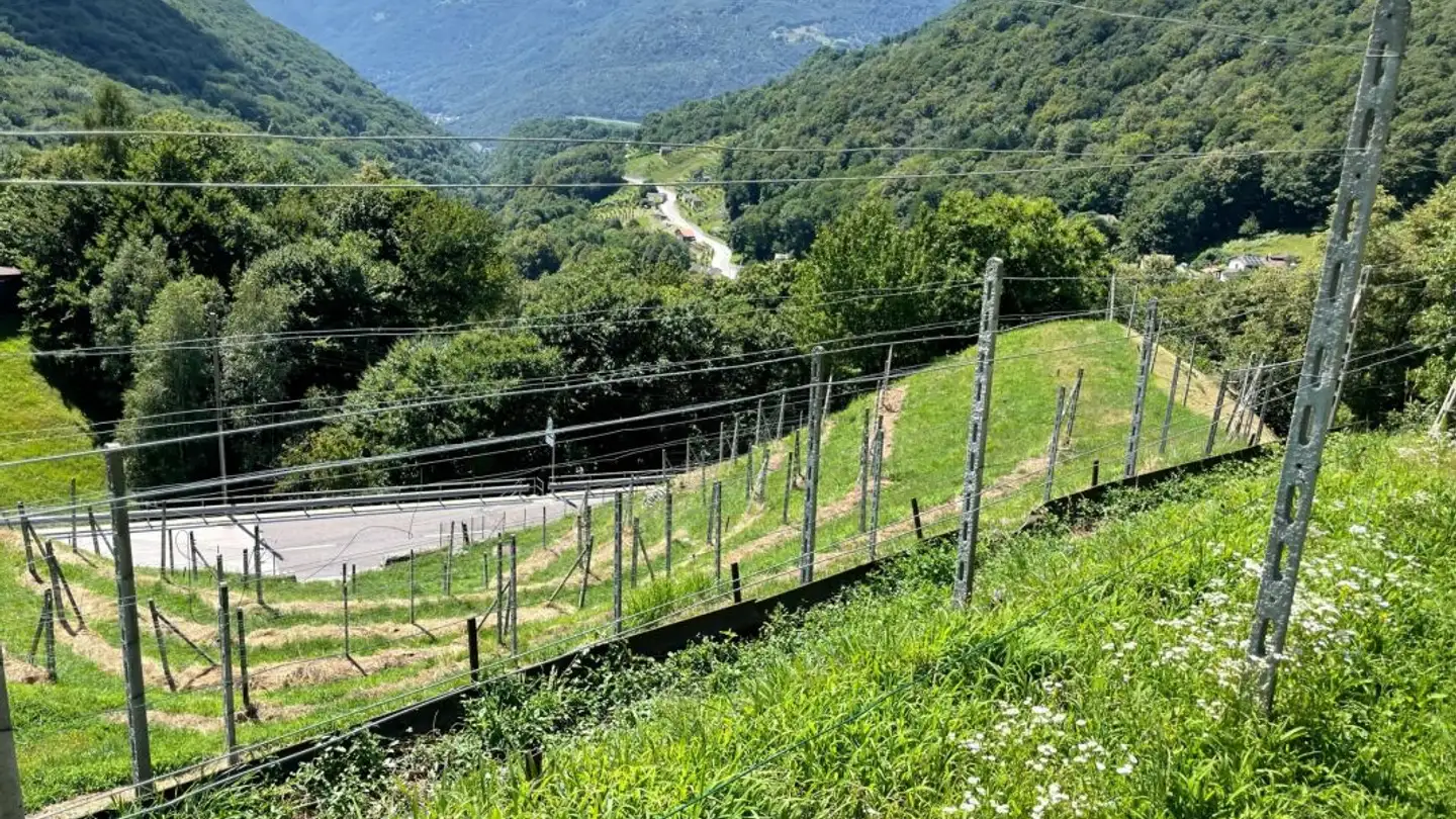 Terreno edificabile in vendita - Via Camoghè, 6809 Medeglia - Photo 4