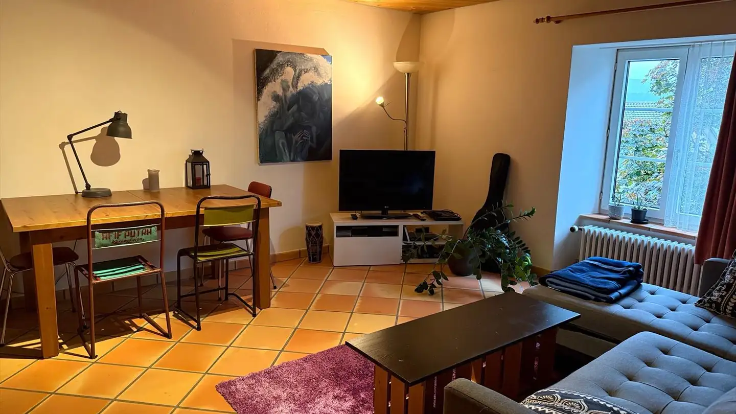 Appartamento in affitto - 8215 Hallau - Foto 4