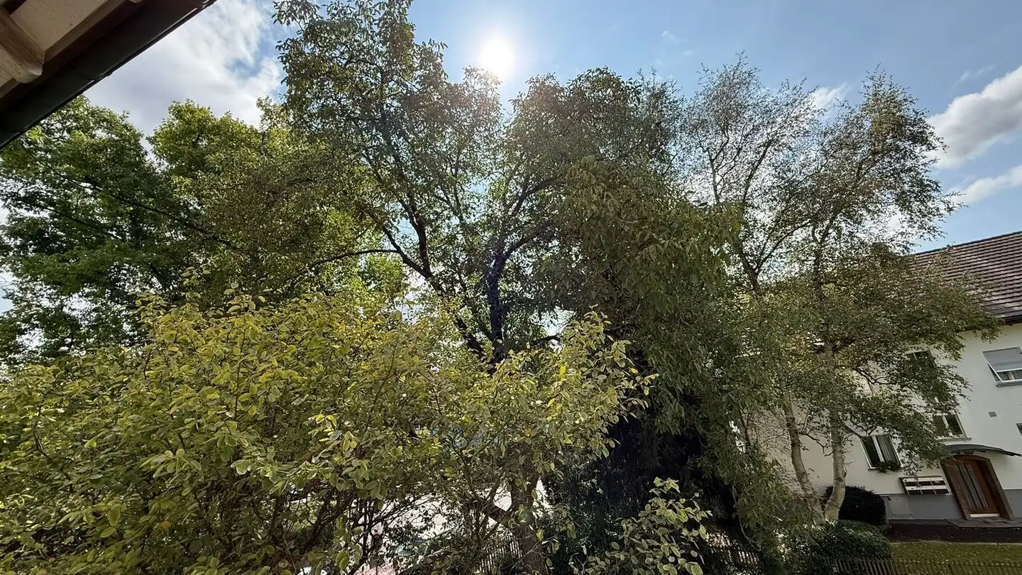 Wohnung mieten - Elfenauweg 15, 3006 Bern