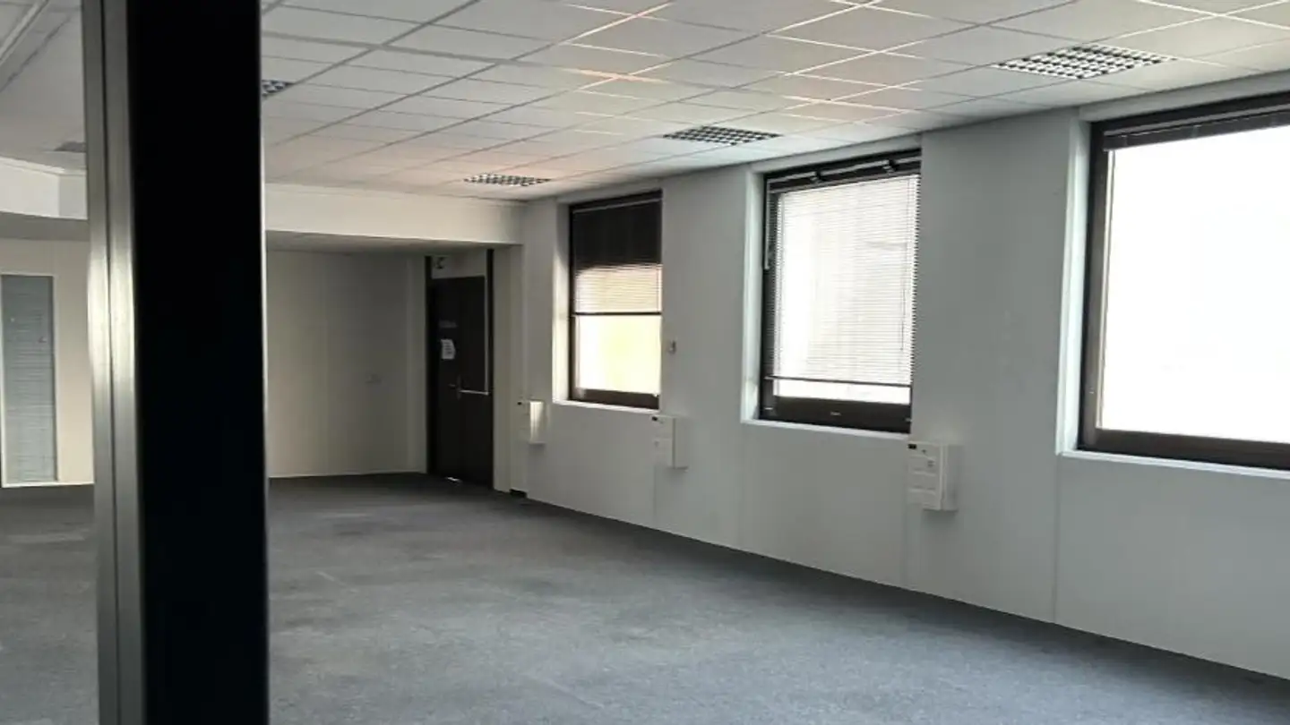 Edificio ad uso misto in affitto - Rue Du Pré-De-La-Fontaine 19, 1242 Satigny - Foto 4