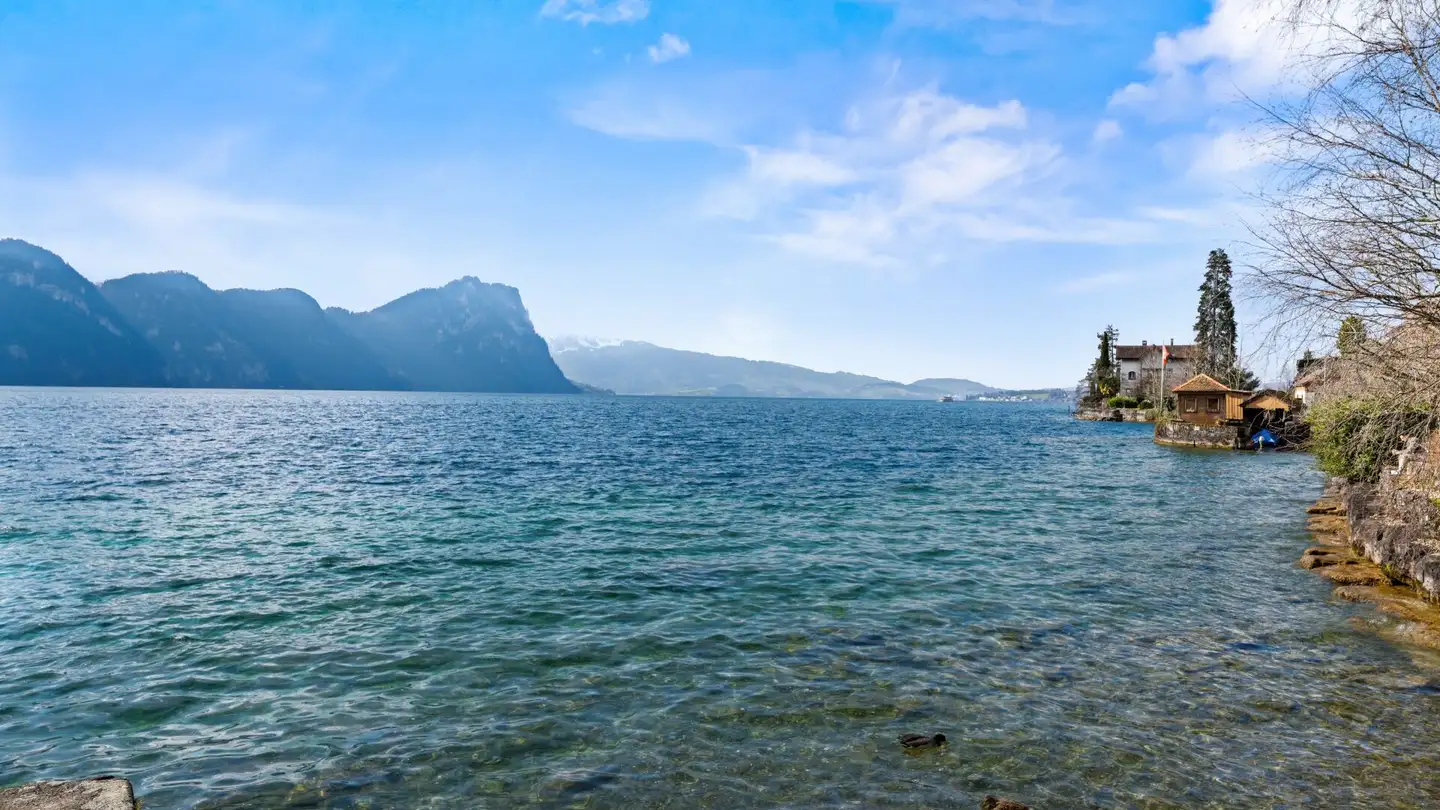 Casa singola in vendita - 6354 Vitznau - Photo 4