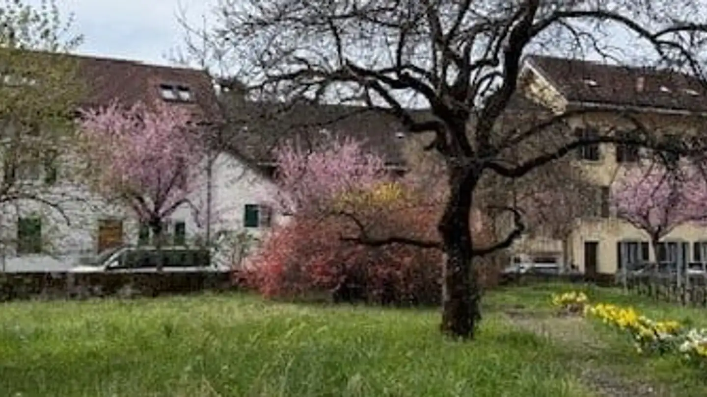 Single house for rent - Avenue Du Cloître 23, 1860 Aigle - Photo 2