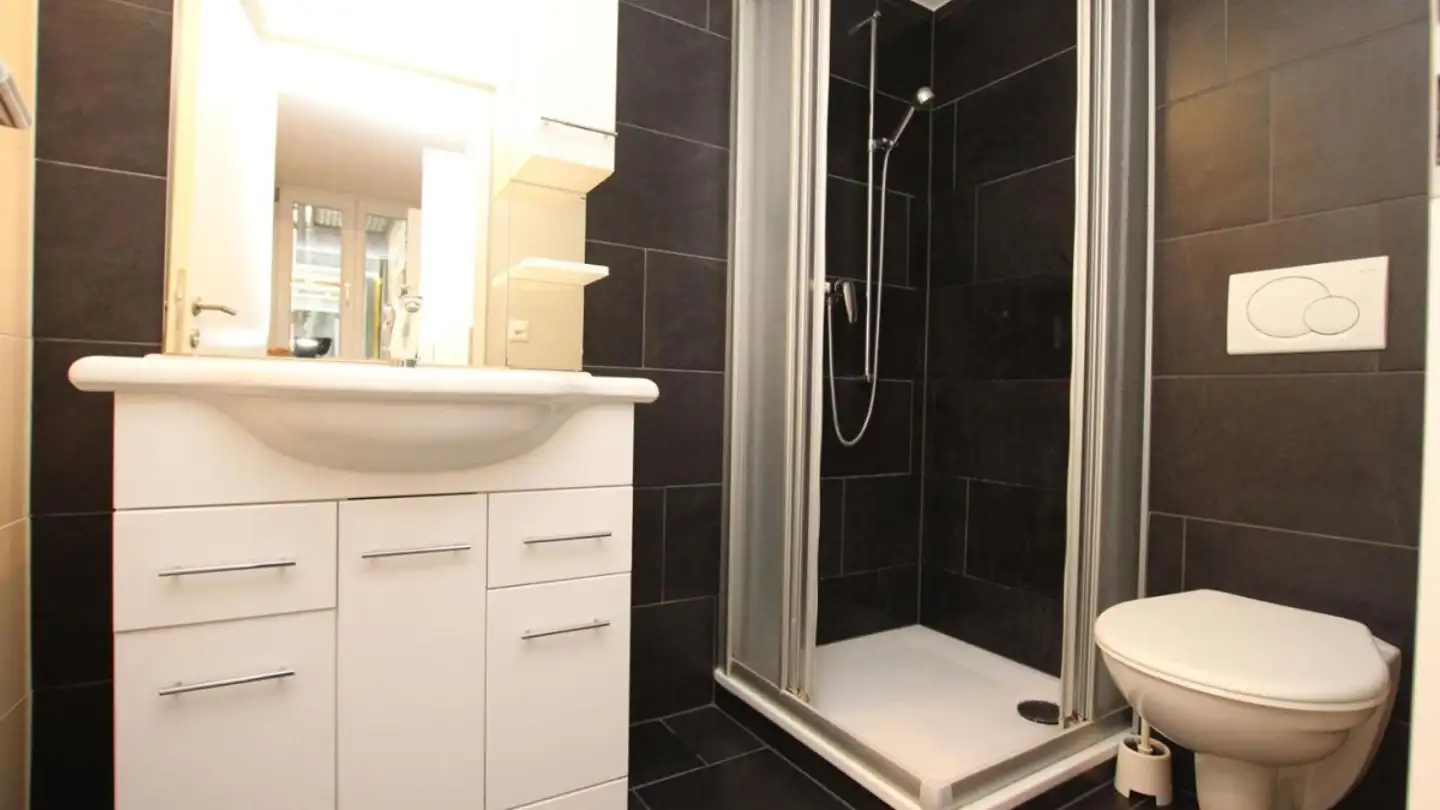Möblierte Wohnung mieten - Rue De Montbrillant 21, 1201 Genève - Foto 4