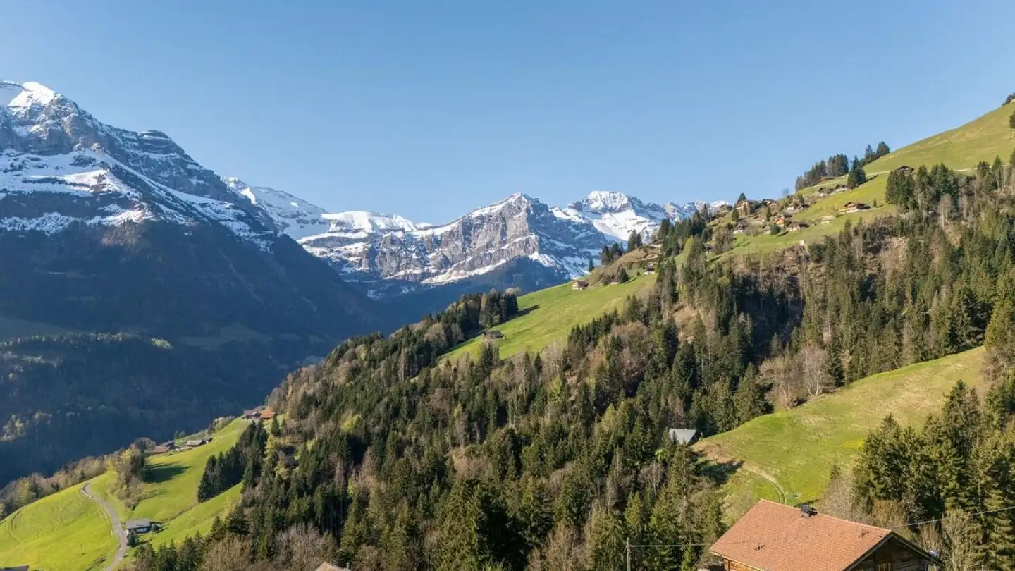 Chalet for sale - Chemin De Plalessu, 1873 Val-d'Illiez - Photo 2