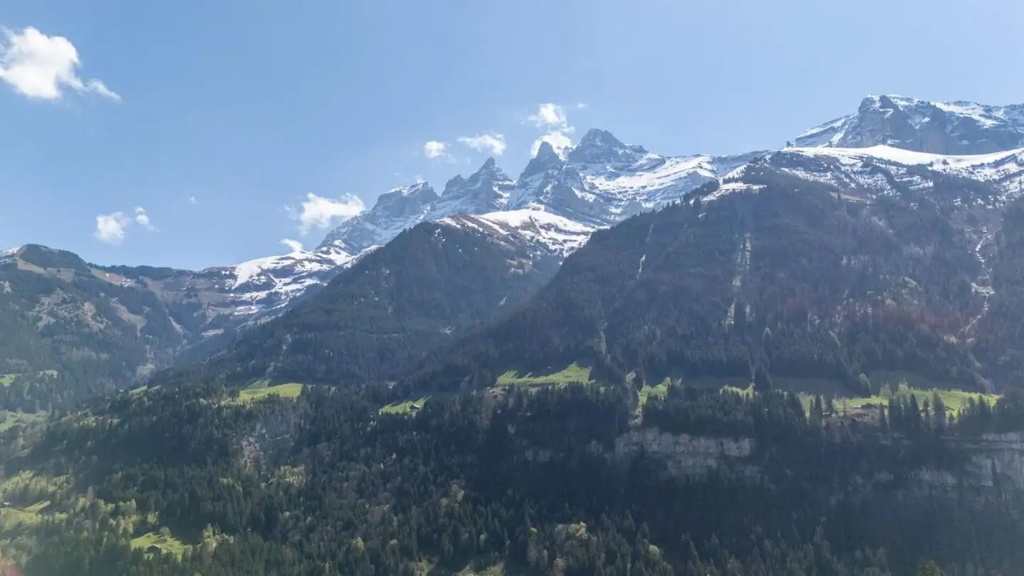 Chalet for sale - Chemin De Plalessu, 1873 Val-d'Illiez - Photo 3