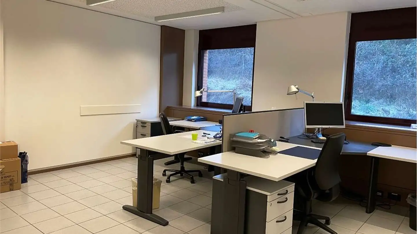 Bureau à louer - 6912 Pazzallo - Photo 4
