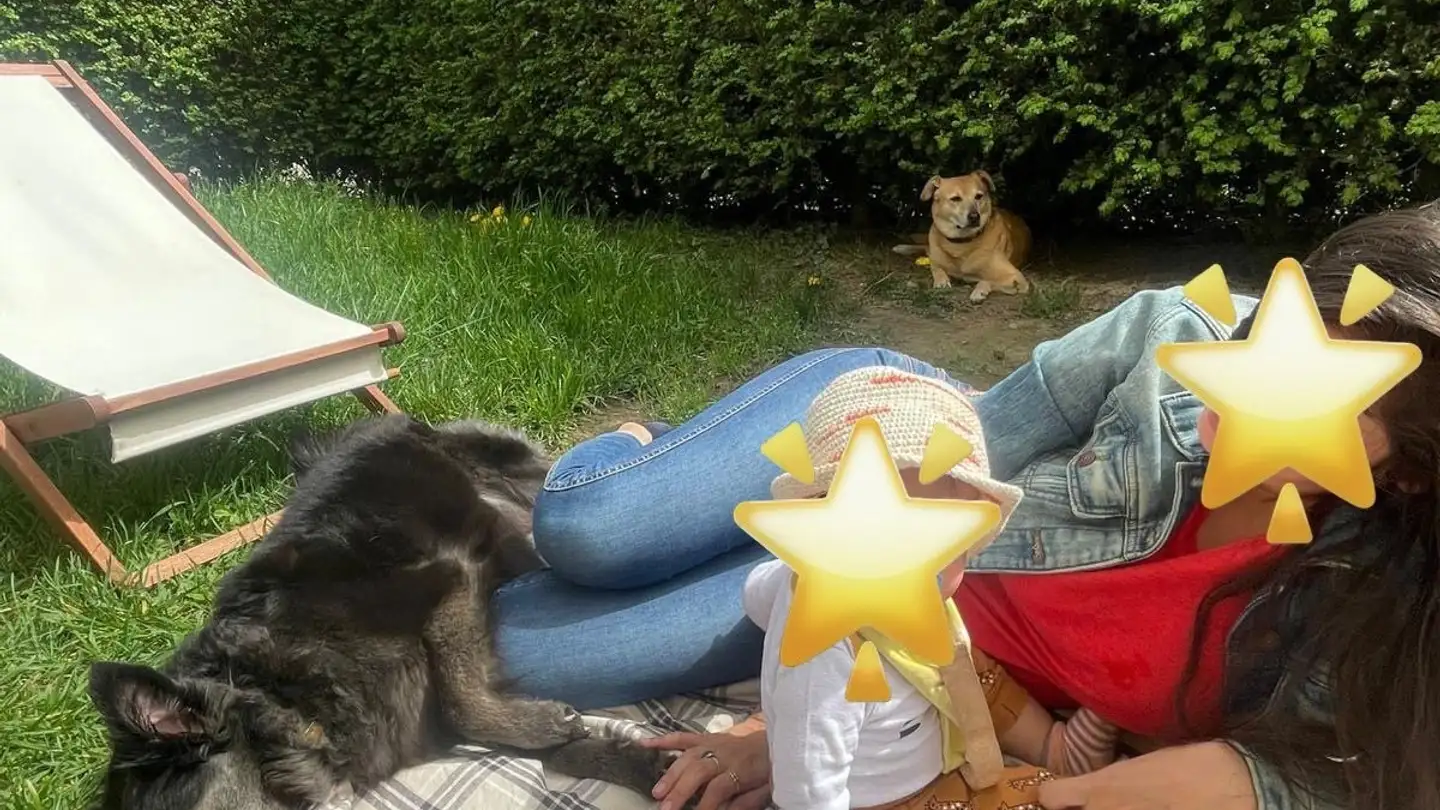 Apartment for rent - Avenue Du Petit-Lancy 9, 1213 Petit-Lancy - Photo 2