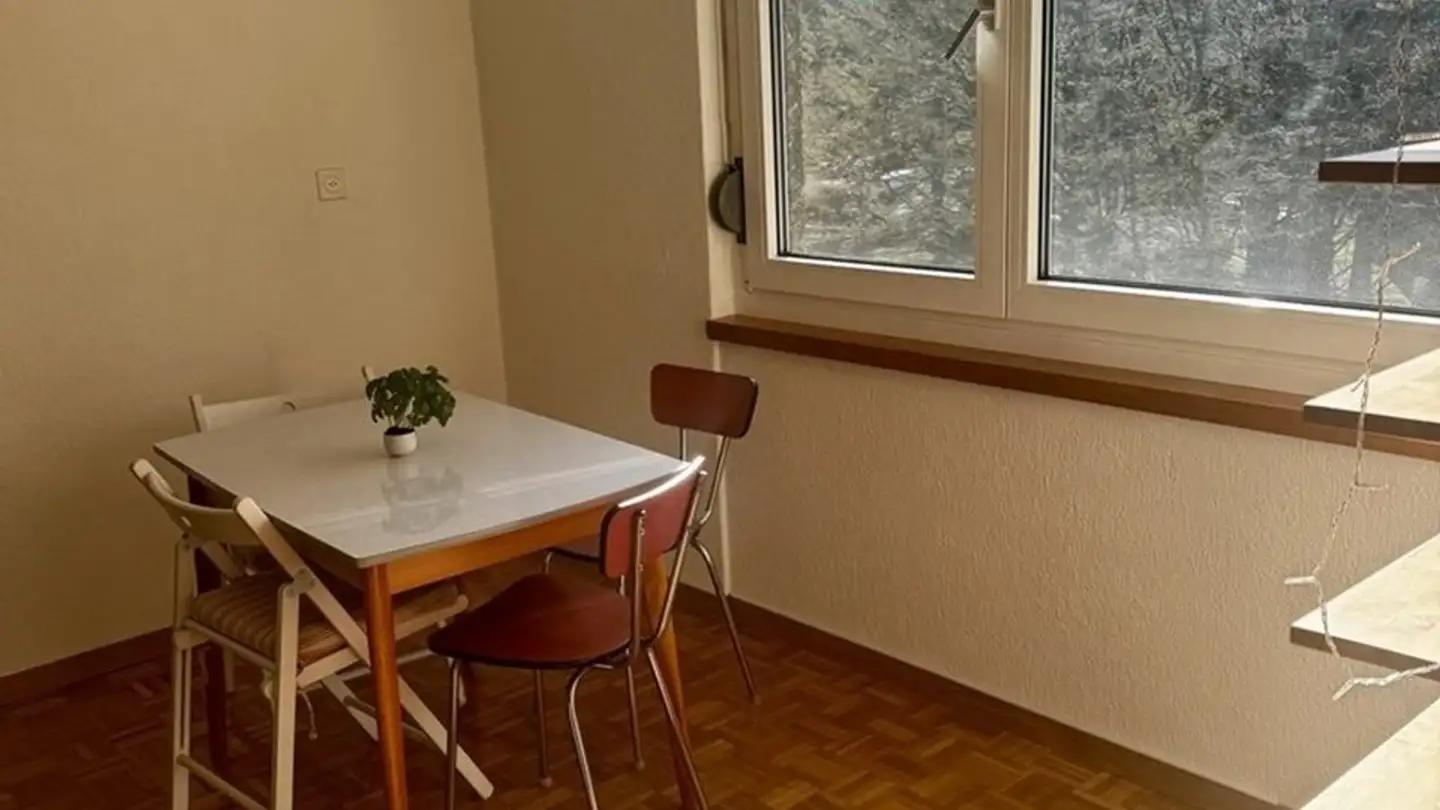 Appartamento in affitto - Bachtobelstrasse 45, 8045 Zürich - Foto 3