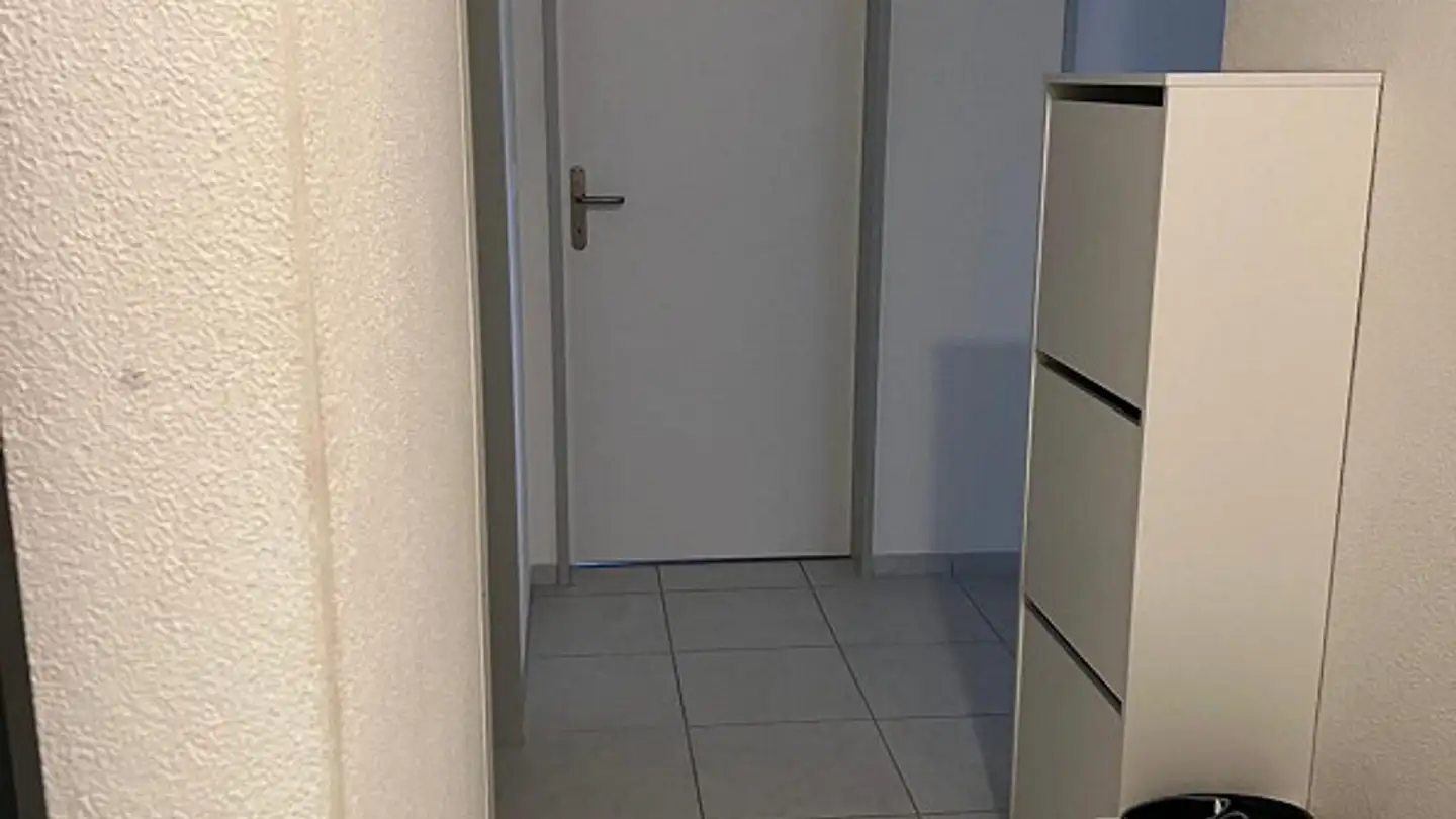 Appartamento in affitto - Niederamtstrasse 1, 4656 Starrkirch-Wil - Foto 4