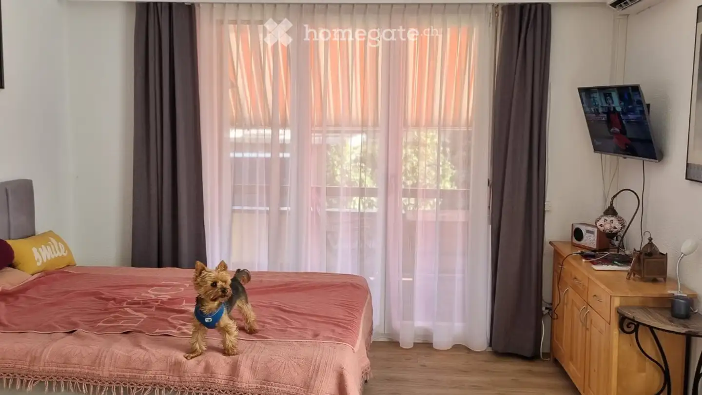Wohnung mieten - Via Alle Scuole 34, 6595 Riazzino - Foto 2