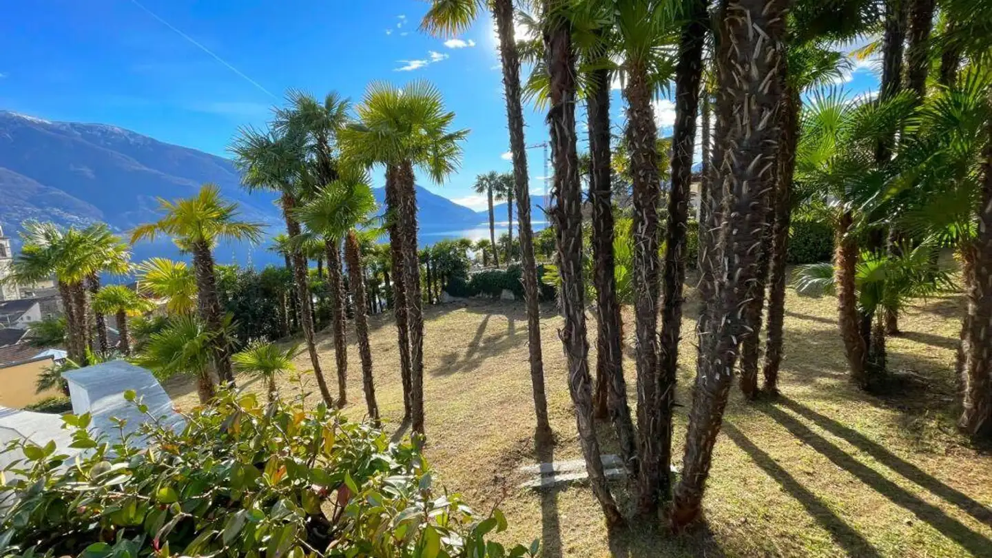 Casa singola in vendita - 6612 Ascona - Foto 3