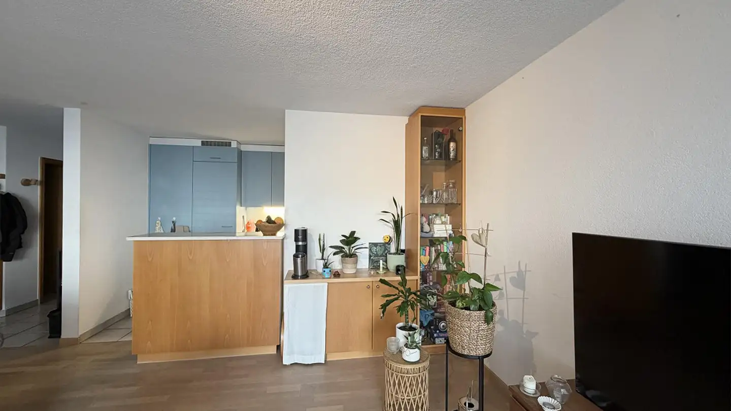 Appartamento in affitto - Zum Spycher 3, 8735 St. Gallenkappel - Foto 4