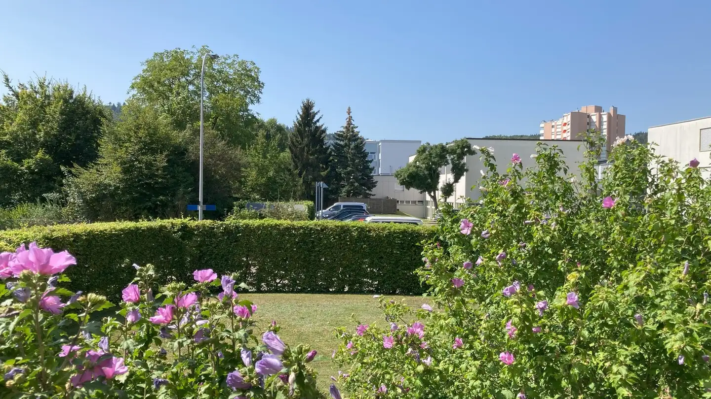 Appartement à louer - Sunnewies 7, 8105 Regensdorf