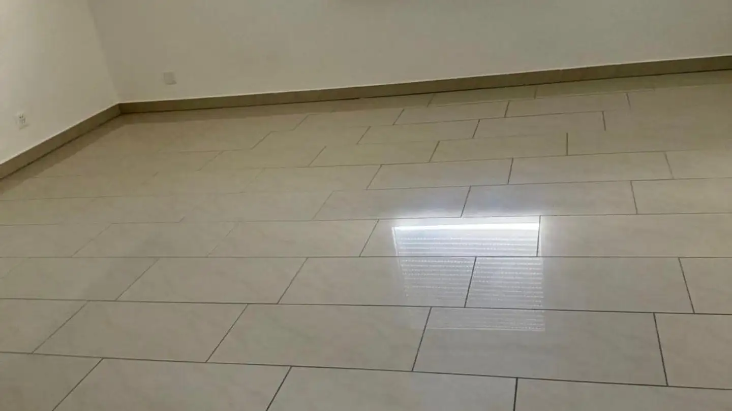 Casa bifamiliare in affitto - Alte St. Gallerstrasse 7, 8352 Elsau - Foto 3