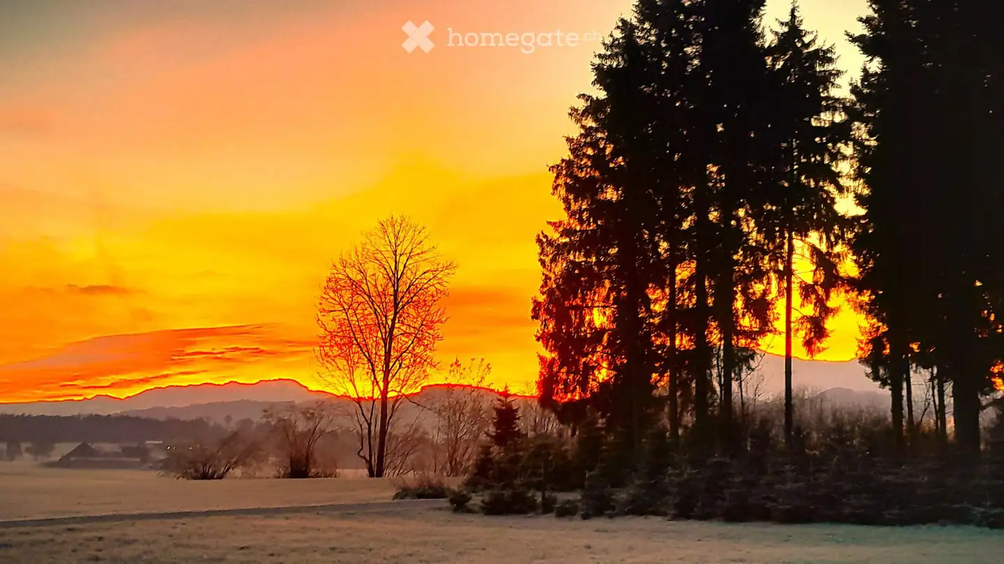 Wohnung mieten - Belletz, 6274 Eschenbach LU
