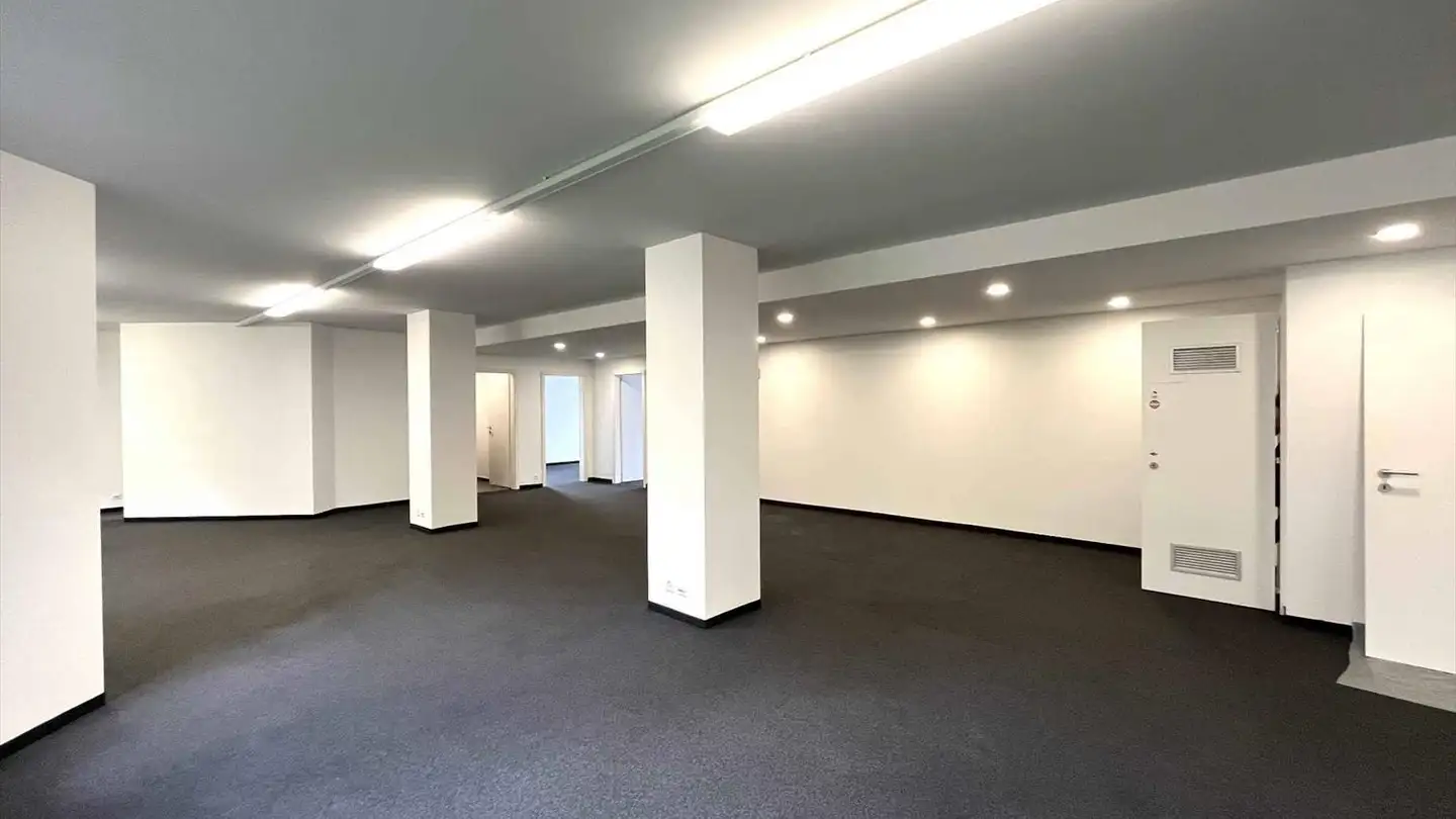 Spazio ufficio in affitto - Rue De La Pélisserie 16, 1204 Genève