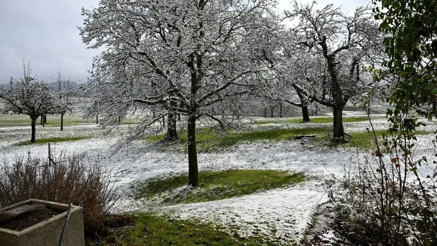Maison jumelle à louer - Hummelbergstrasse 6a, 9216 Hohentannen - Photo 4
