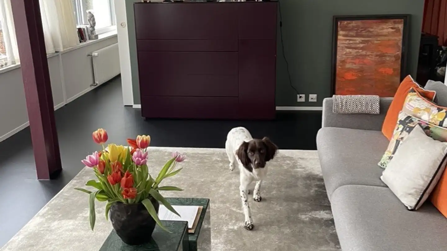 Single house for rent - 8620 Wetzikon ZH