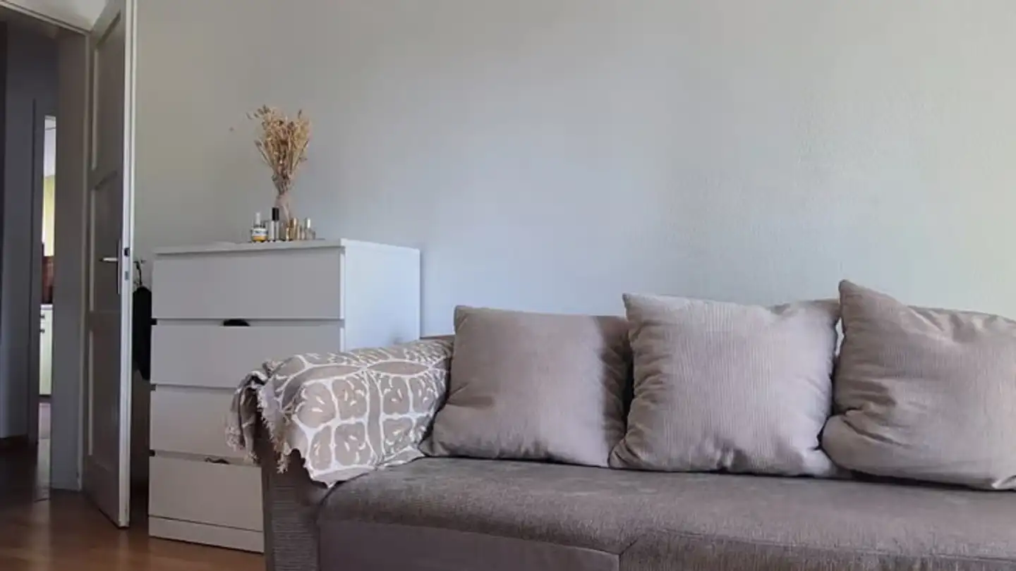 Appartement à louer - Werdstrasse, 8004 Zürich - Photo 2