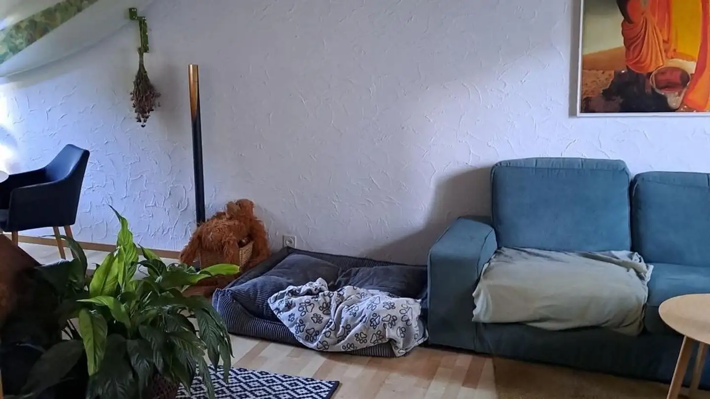 Einfamilienhaus mieten - Friedackerstrasse 11, 8050 Zürich