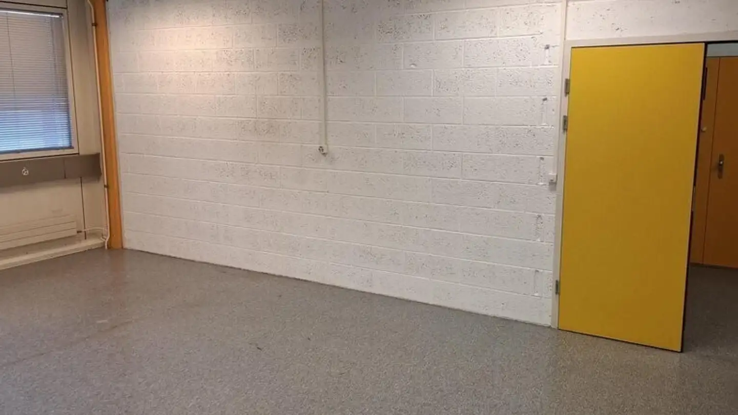 Sala hobby in affitto - Chemin Des Aulx, 1228 Plan-les-Ouates - Photo 4