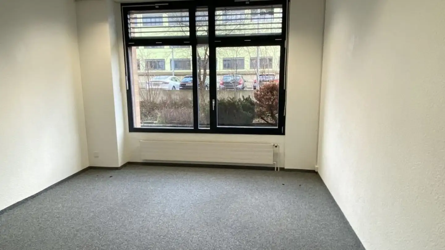 Studio medico in affitto - Bahnhofstrasse 5, 5734 Reinach AG - Foto 3