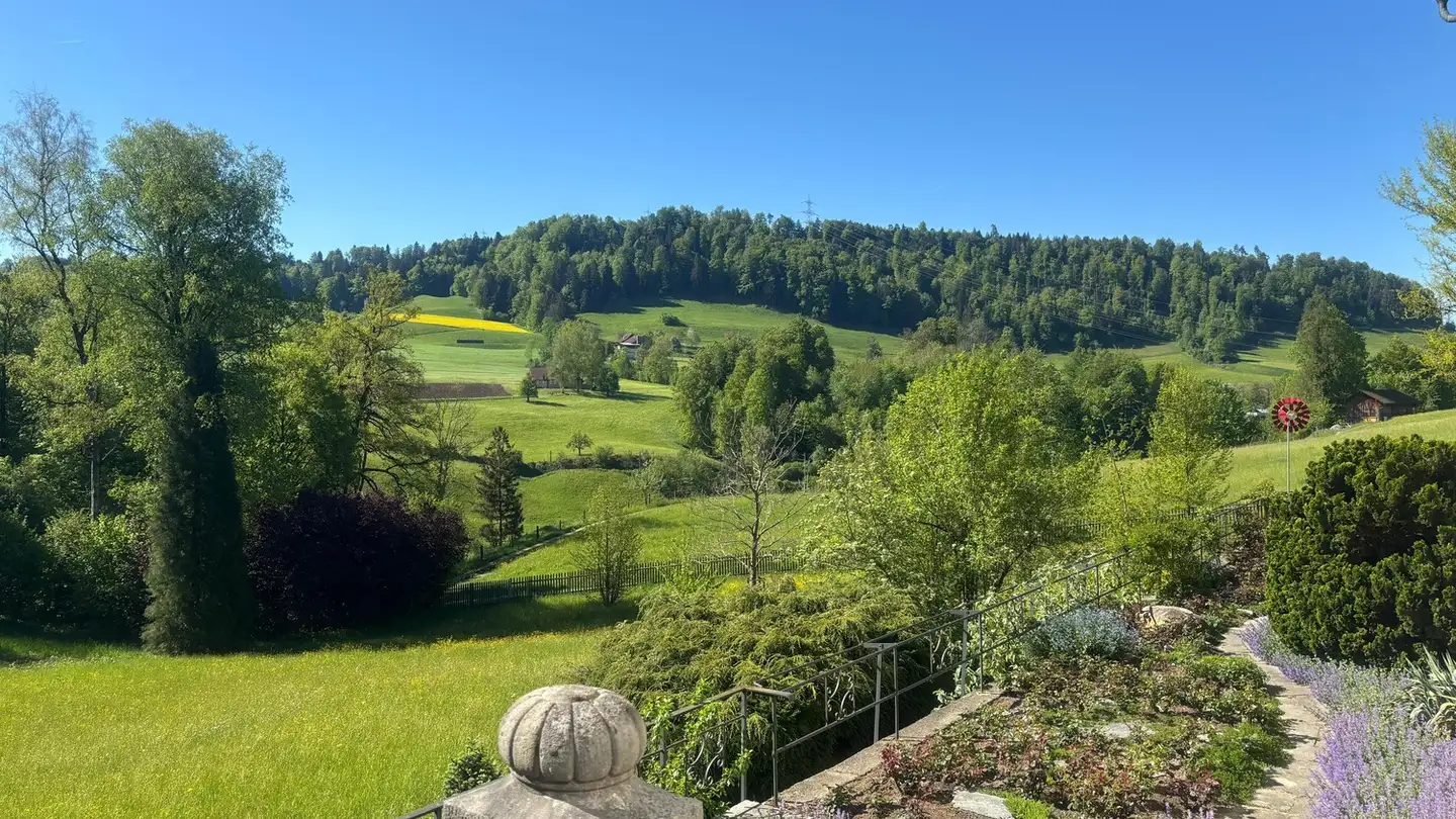 Apartment for rent - 8636 Wald ZH - Photo 2