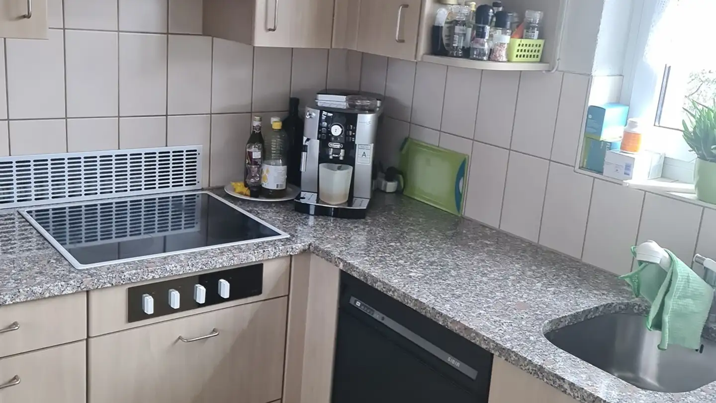 Single room for rent - Plattenstrasse 3, 8152 Glattbrugg - Photo 2