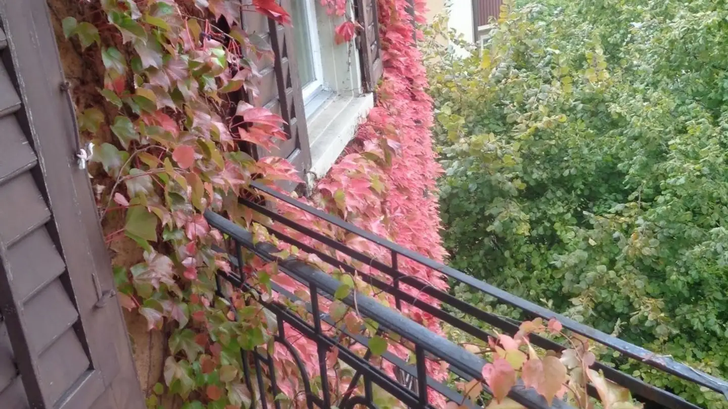 Stanza singola in affitto - Nordstrasse, 8037 Zürich - Foto 3