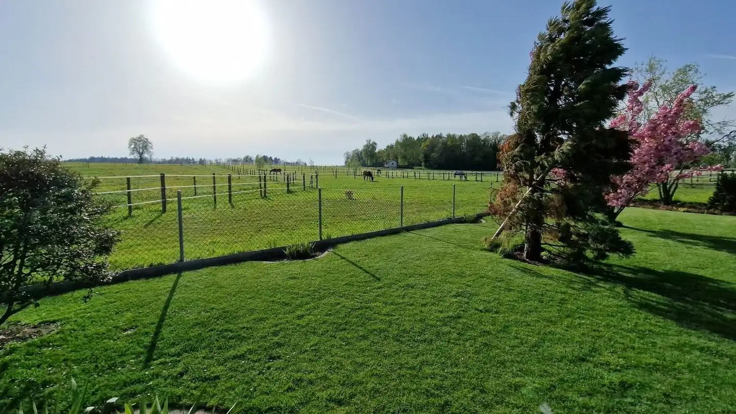 Einfamilienhaus kaufen - Hauptstrasse 23, 8507 Hörhausen