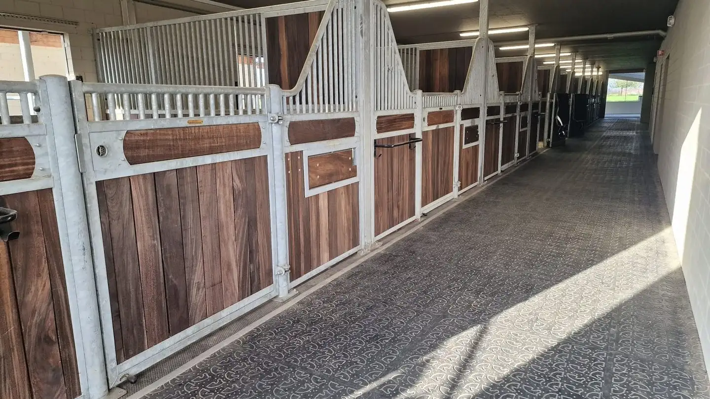 Einfamilienhaus kaufen - Hauptstrasse 23, 8507 Hörhausen - Foto 4