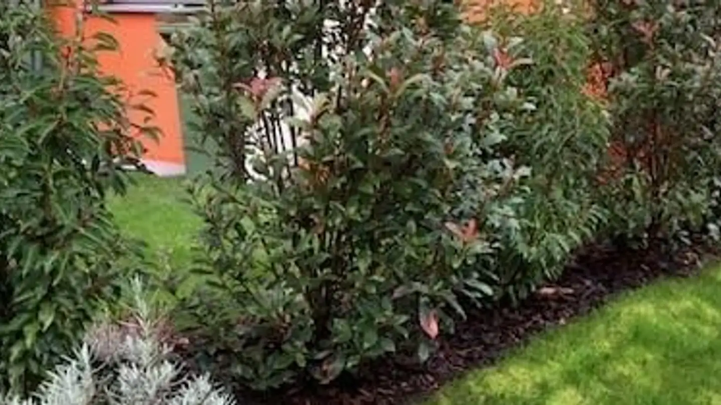 Casa bifamiliare in vendita - Sommerhaldenstrasse 32b, 5200 Brugg AG - Photo 4