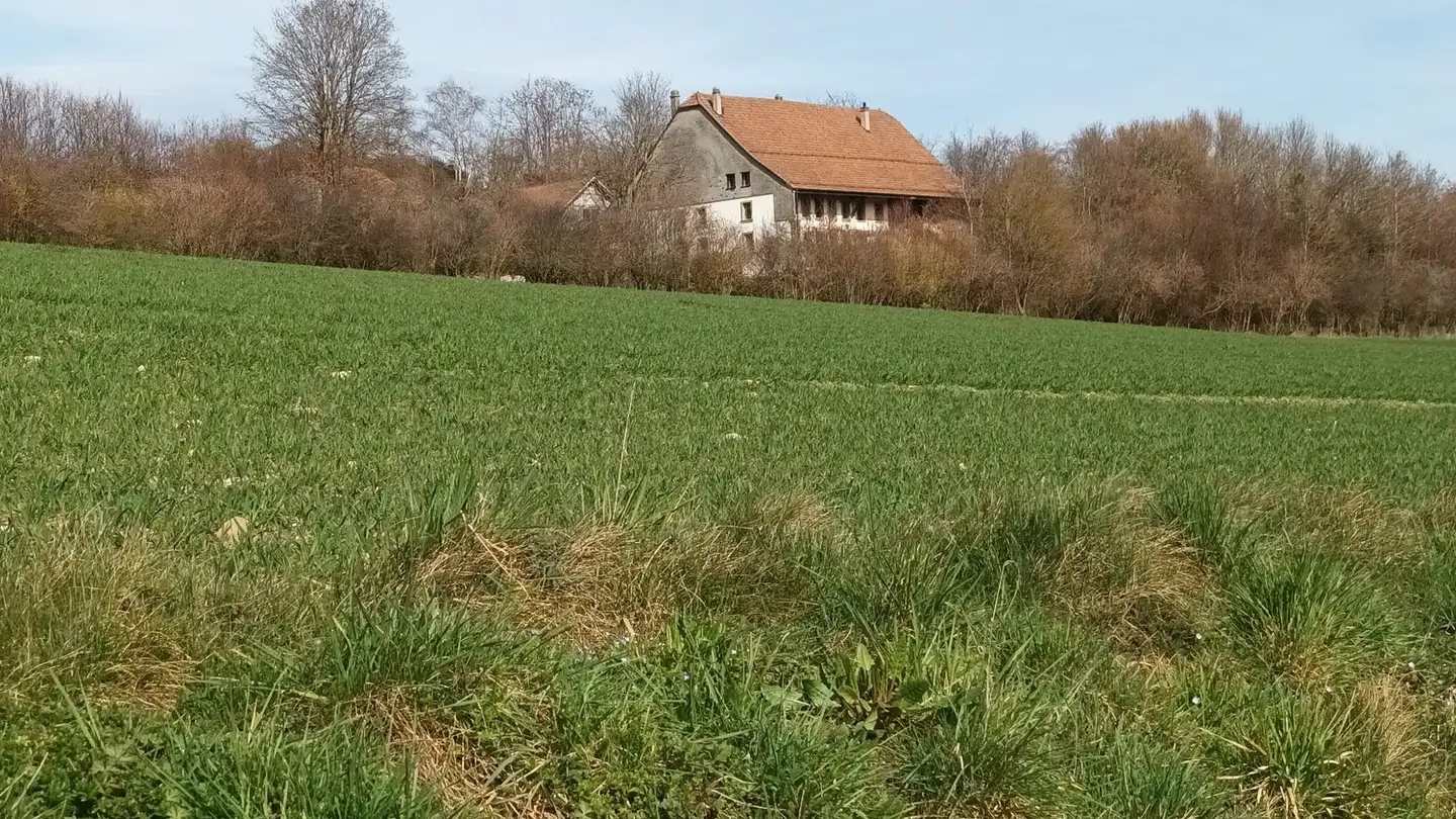 Chambre à louer - Route Des Echelettes 51, 1674 Vuarmarens