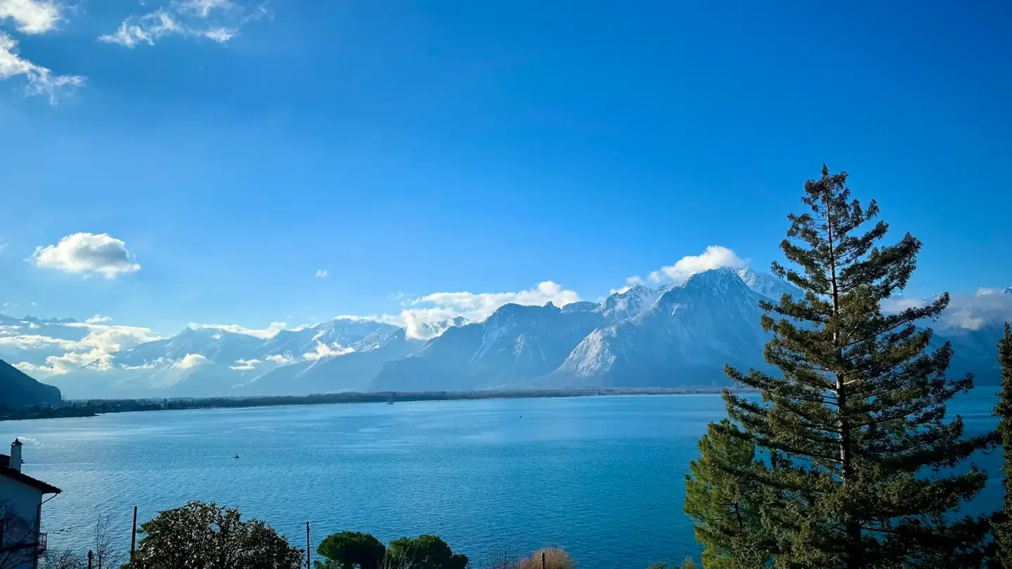 Wohnung kaufen - 1820 Veytaux