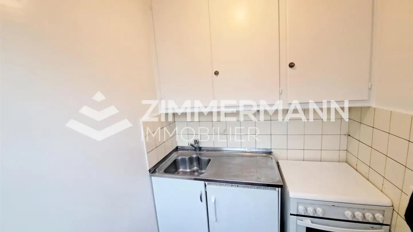 Studio for rent - Rue Sismondi, 1201 Genève - Photo 2
