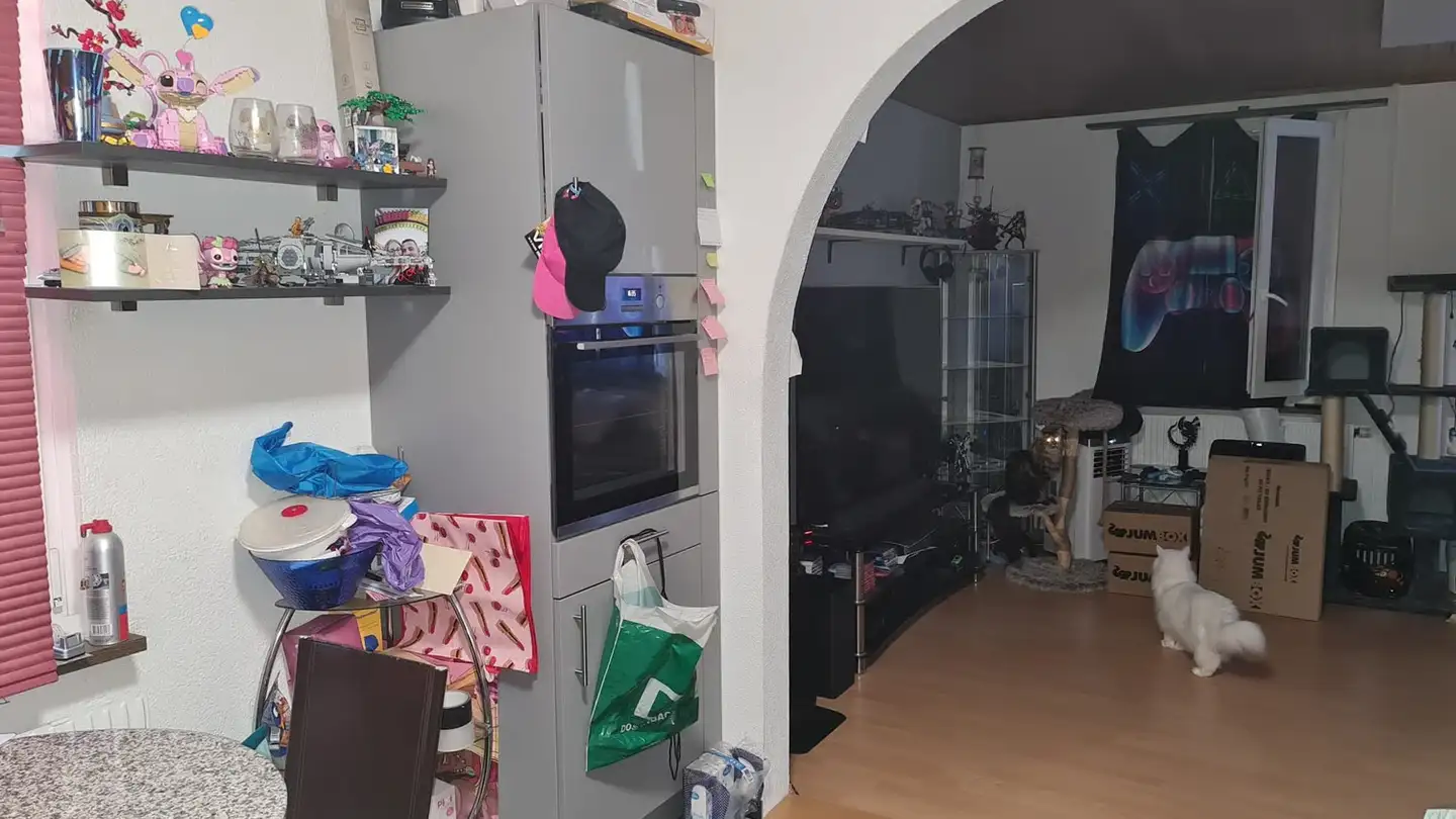Wohnung mieten - Schreinergasse 3, 4552 Derendingen - Foto 3