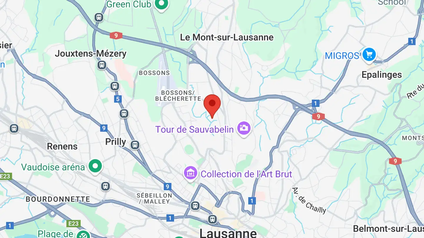 Commerciale in affitto - Chemin D'entre-Bois 29a, 1018 Lausanne - Photo 4