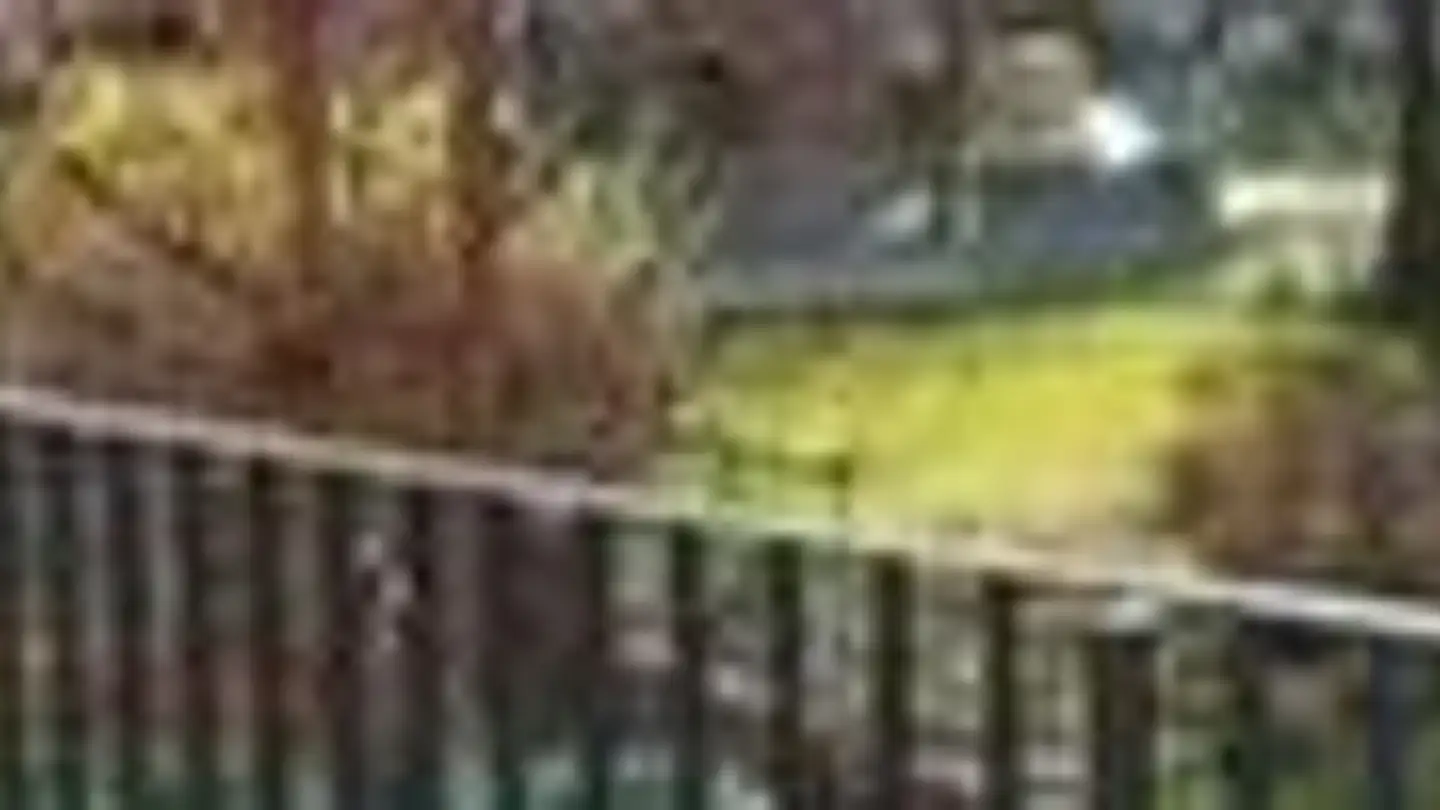 Wohnung mieten - Bahnhofstrasse 228a, 8623 Wetzikon ZH - Foto 2