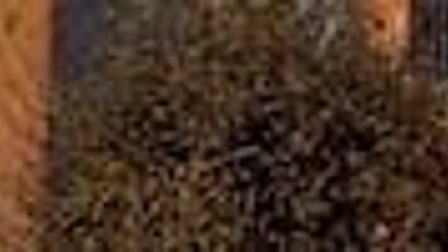 Appartement à louer - Bahnhofstrasse 228a, 8623 Wetzikon ZH