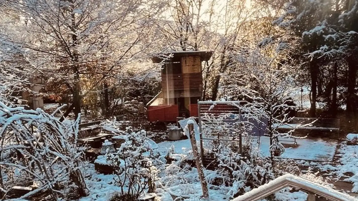 Stanza singola in affitto - Laurstrasse 7, 5200 Brugg AG - Photo 3