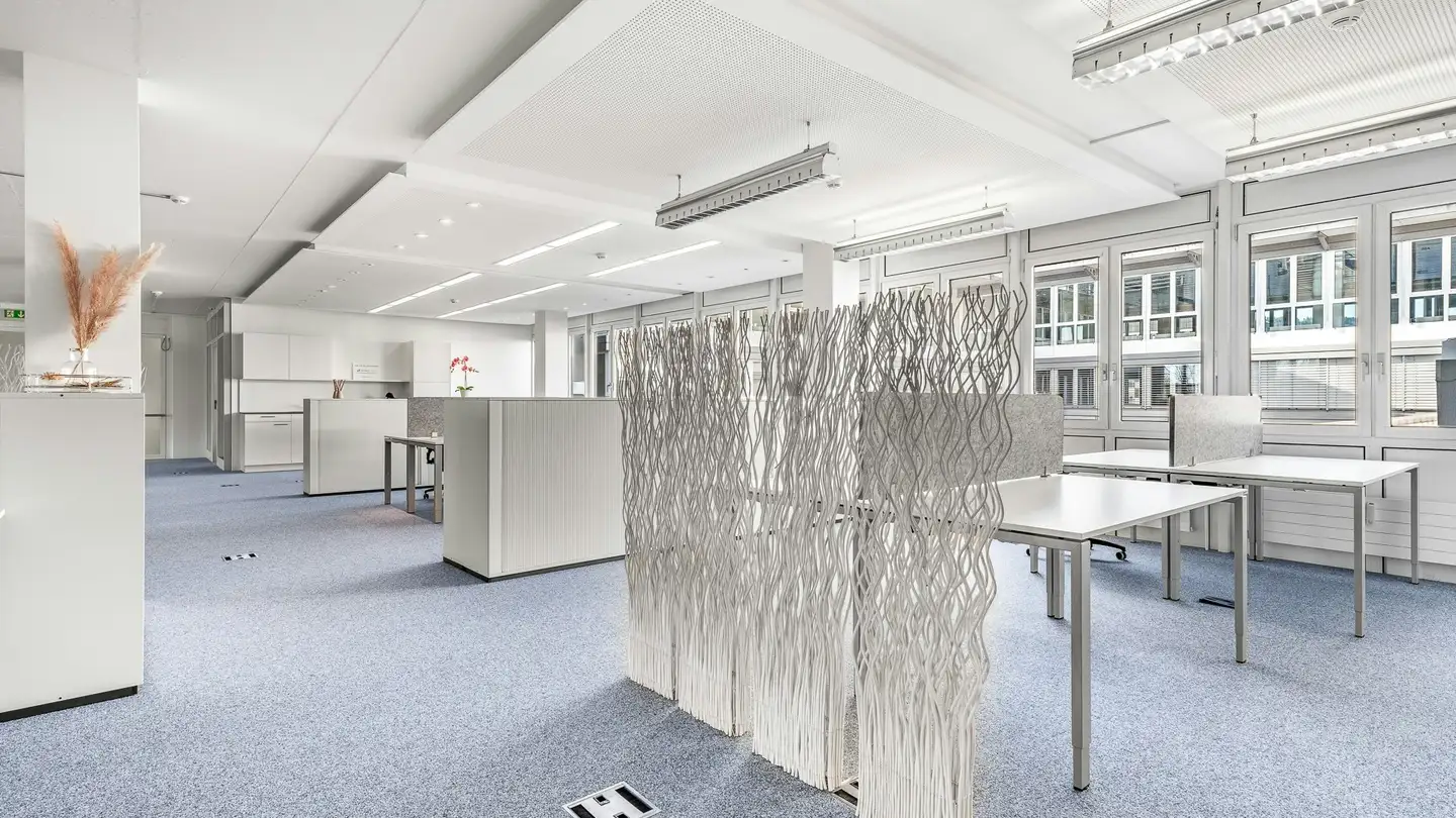 Bürofläche mieten - Chemin Ami- Argand 9, 1290 Versoix - Foto 4